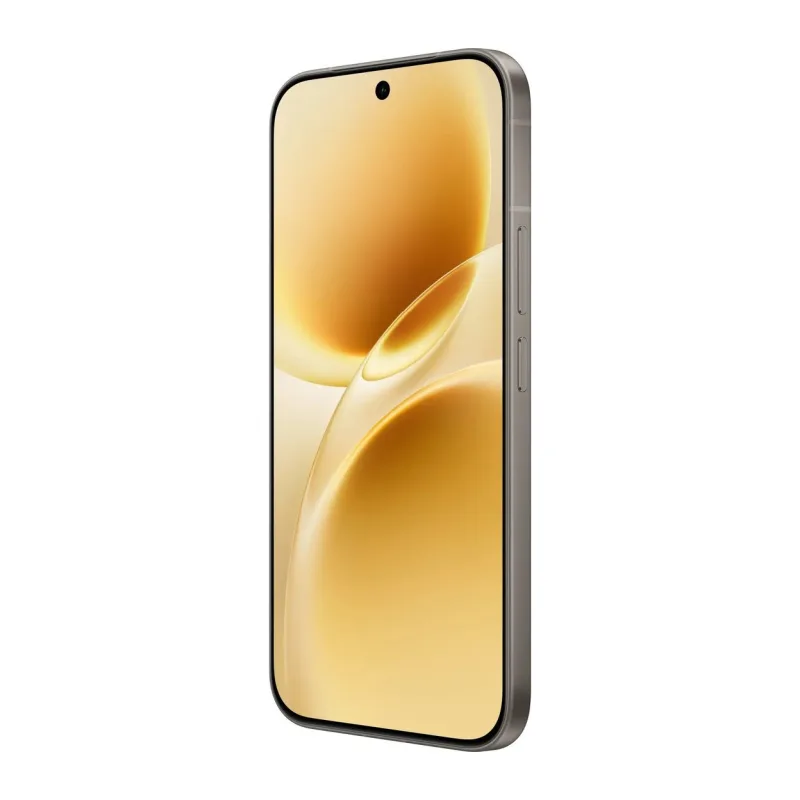 Смартфон Vivo V70 8GB/256GB Gray (V2538)