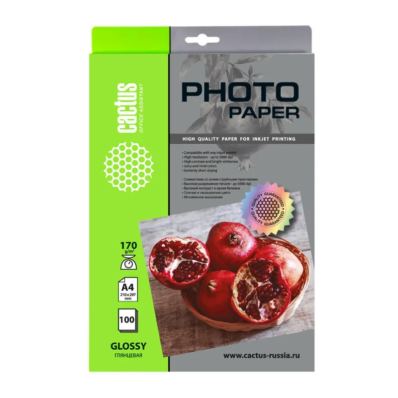Фотобумага CACTUS Глянцевая A4 170г/м2 100 листов (CS-GA4170100)
