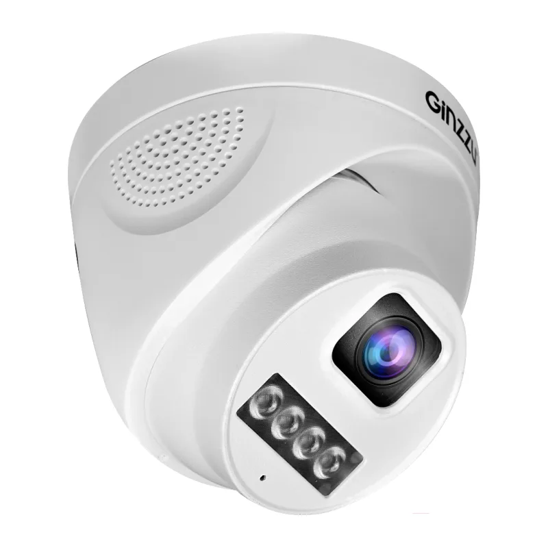 Камера видеонаблюдения Ginzzu HID-4301A