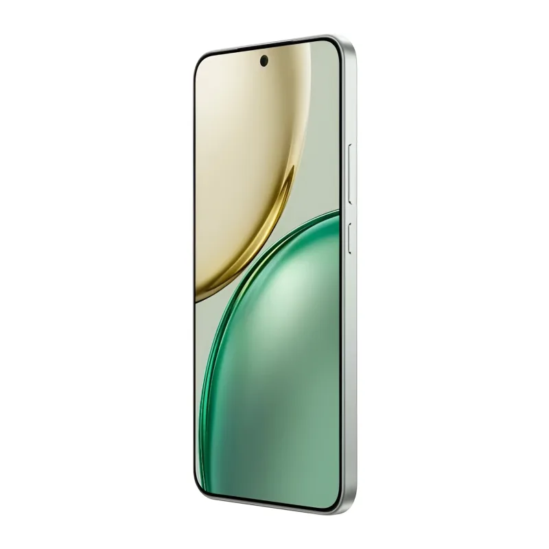 Смартфон Honor X9d 12GB/256GB MTN-NX1 Forest Green (5109BYPV)