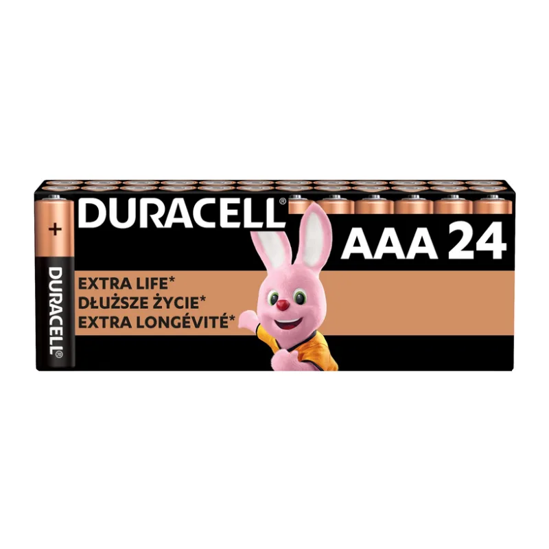 Батарейка Duracell Basic MN2400 LR03 AAA BL24