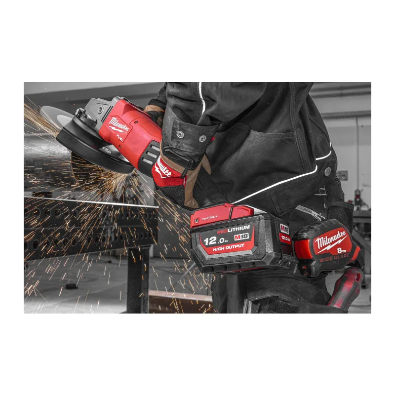 Шлифовальный диск Milwaukee 4932478950
