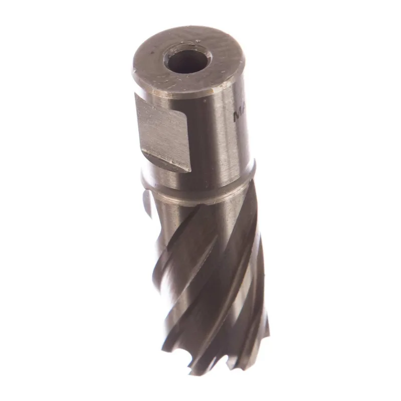Фреза Milwaukee HSS D20х30мм (4932343276)