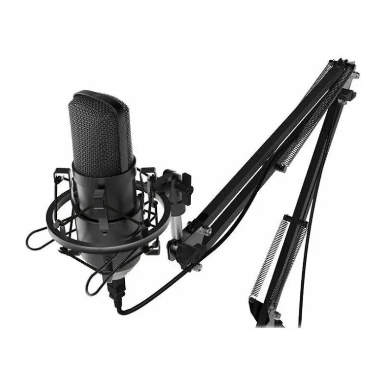 Микрофон Ritmix RDM-169