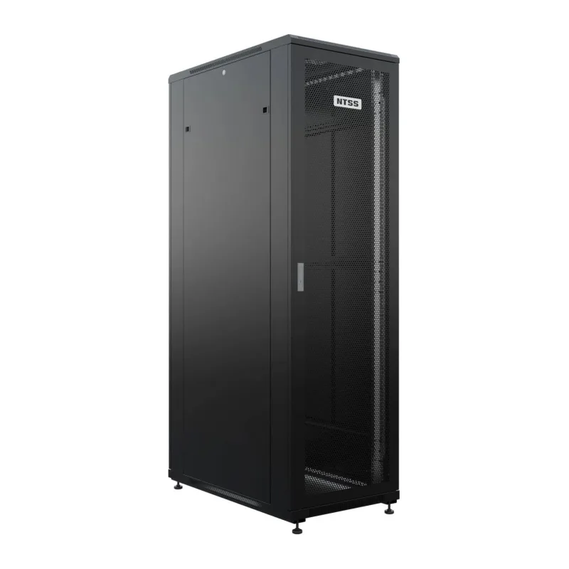 Шкаф серверный NTSS Премиум NTSS-R42U60100PD/PDD-BL черный