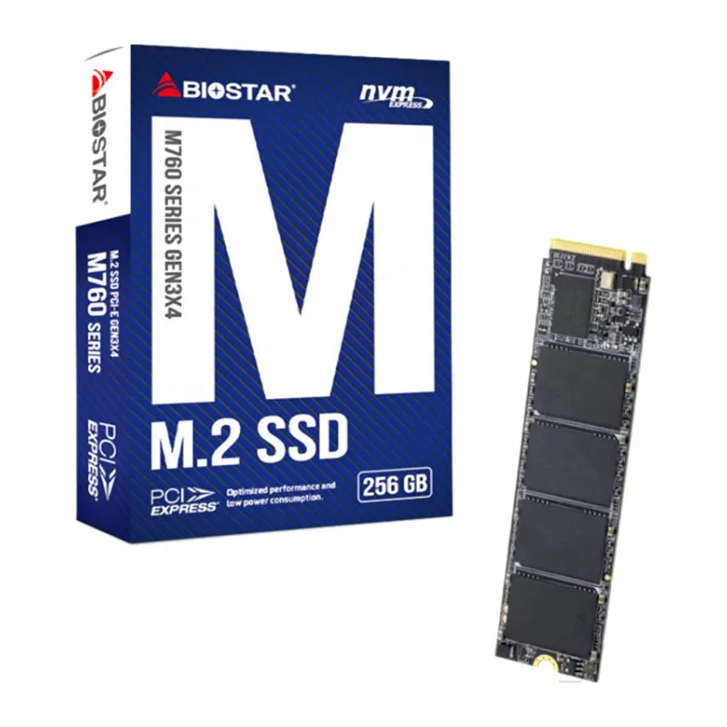 SSD диск Biostar M760 256GB