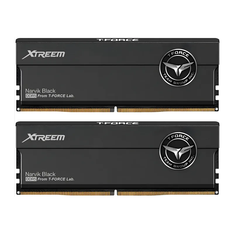 Оперативная память Team Group T-Force Xtreem 32Gb DDR5 (FFXD532G6000HC30DC01)