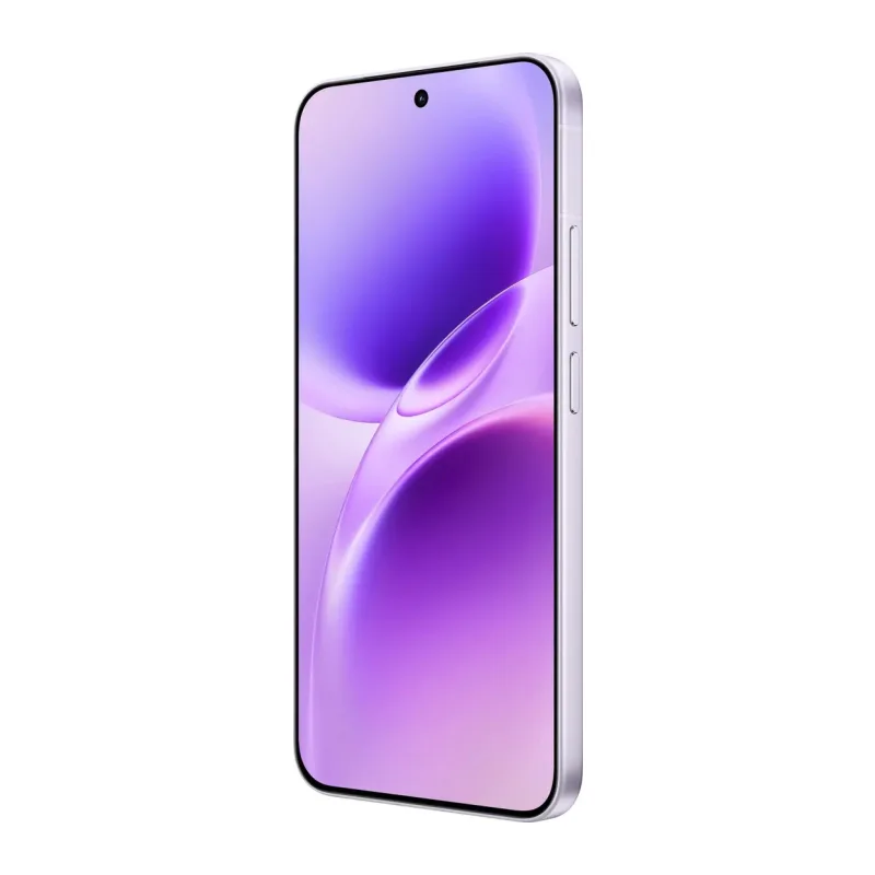 Смартфон Vivo X300FE 5G 12GB/256GB холодный лиловый (V2537)