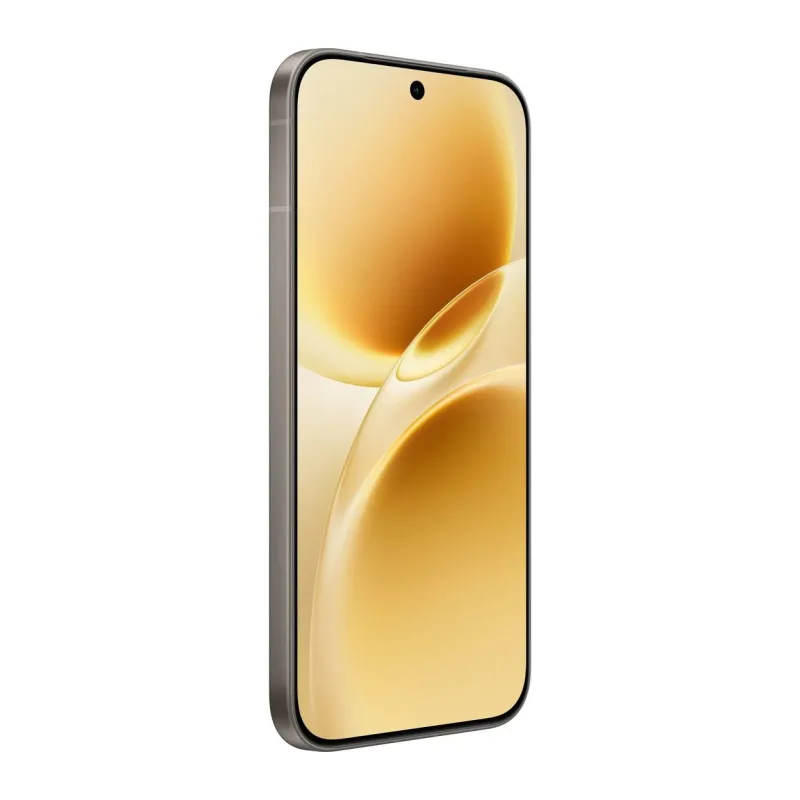 Смартфон Vivo V70 8GB/256GB Gray (V2538)