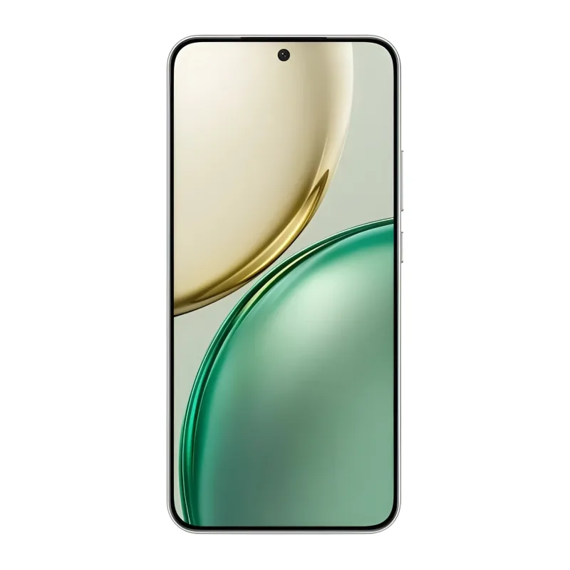 Смартфон Honor X9d 12GB/256GB MTN-NX1 Forest Green (5109BYPV)
