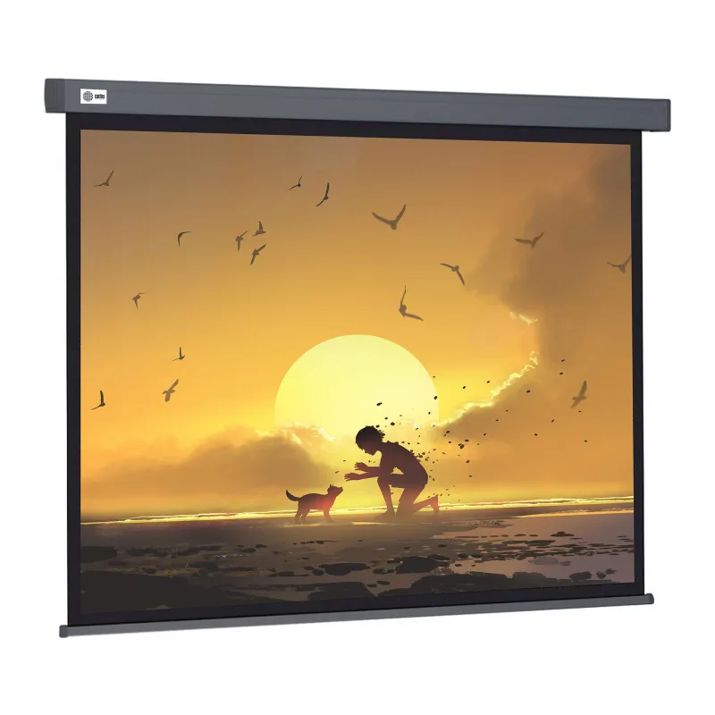 Проекционный экран Cactus CS-PSW-124X221-SG серый