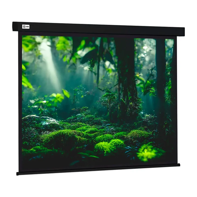 Проекционный экран Cactus CS-PSW-213X213-BK черный