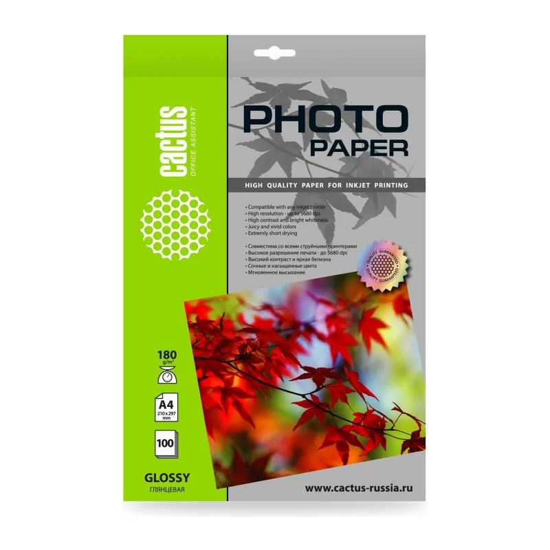 Фотобумага Cactus CS-GA4180100