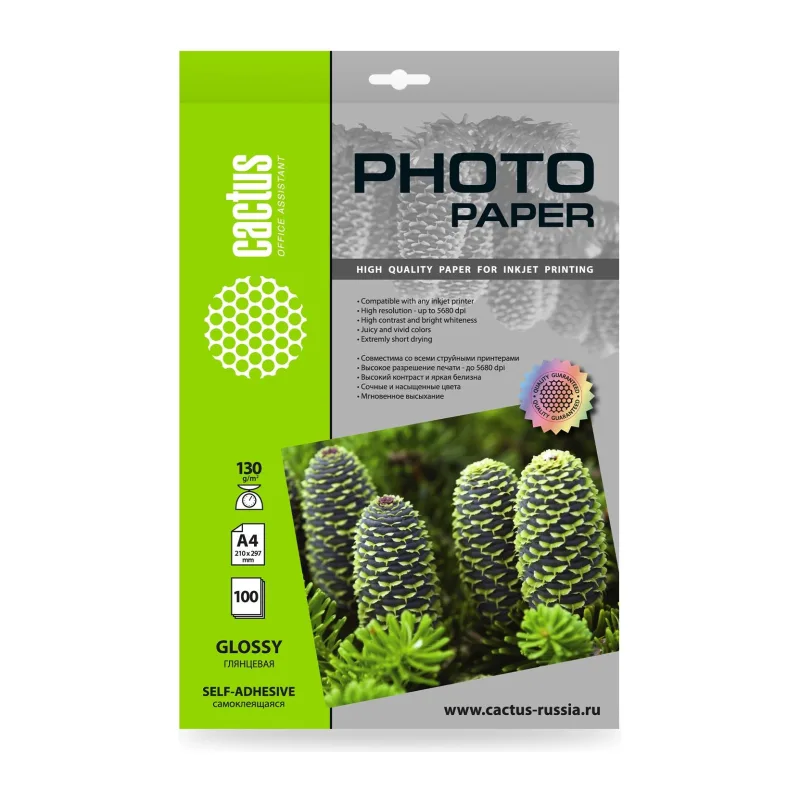 Фотобумага Cactus CS-GSA4130100