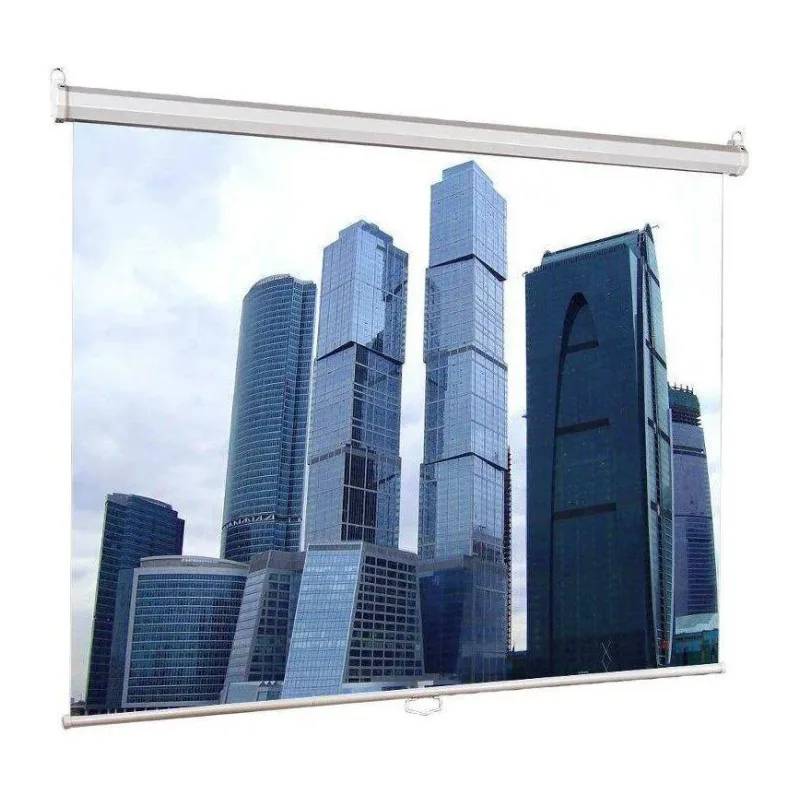 Проекционный экран Lumien Eco Picture (LEP-100124)
