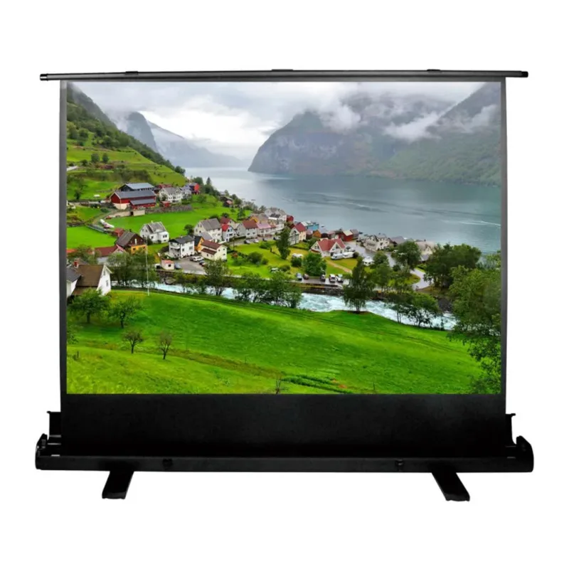 Проекционный экран Cactus FloorExpert белый матовый (CS-PSFLE-180X102)