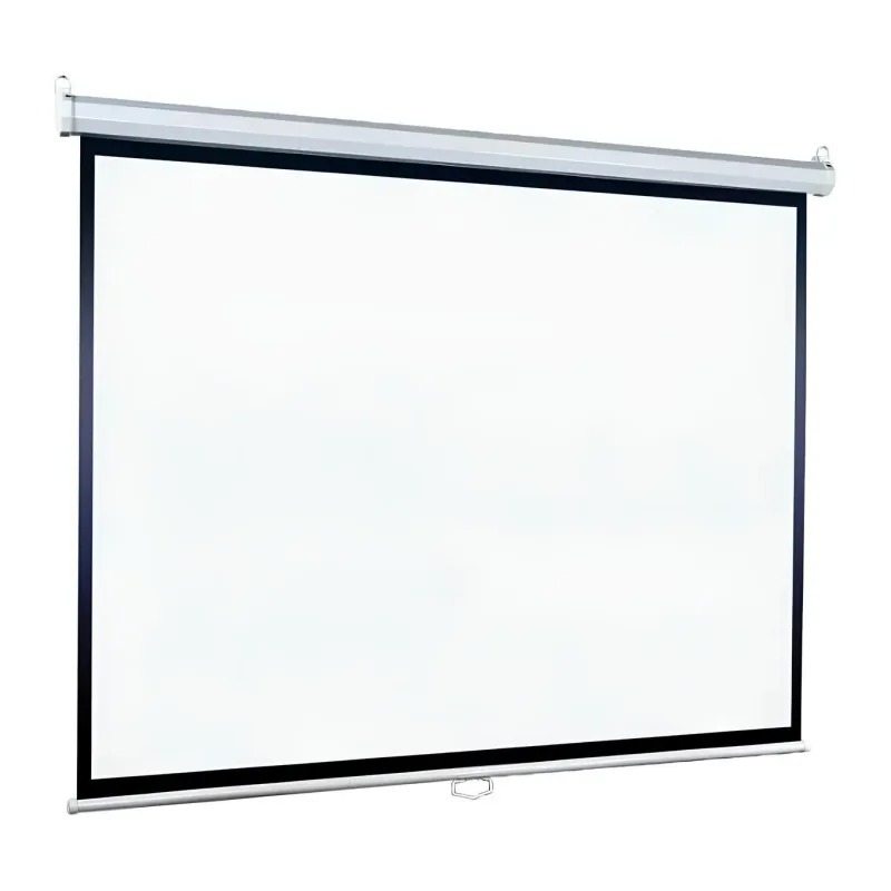 Проекционный экран Lumien Eco Picture белый матовый (LEP-100106)
