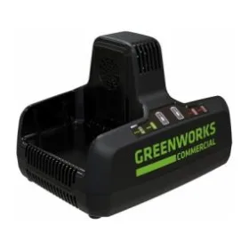 Зарядное устройство для инструмента Greenworks G82C2 (2939007)