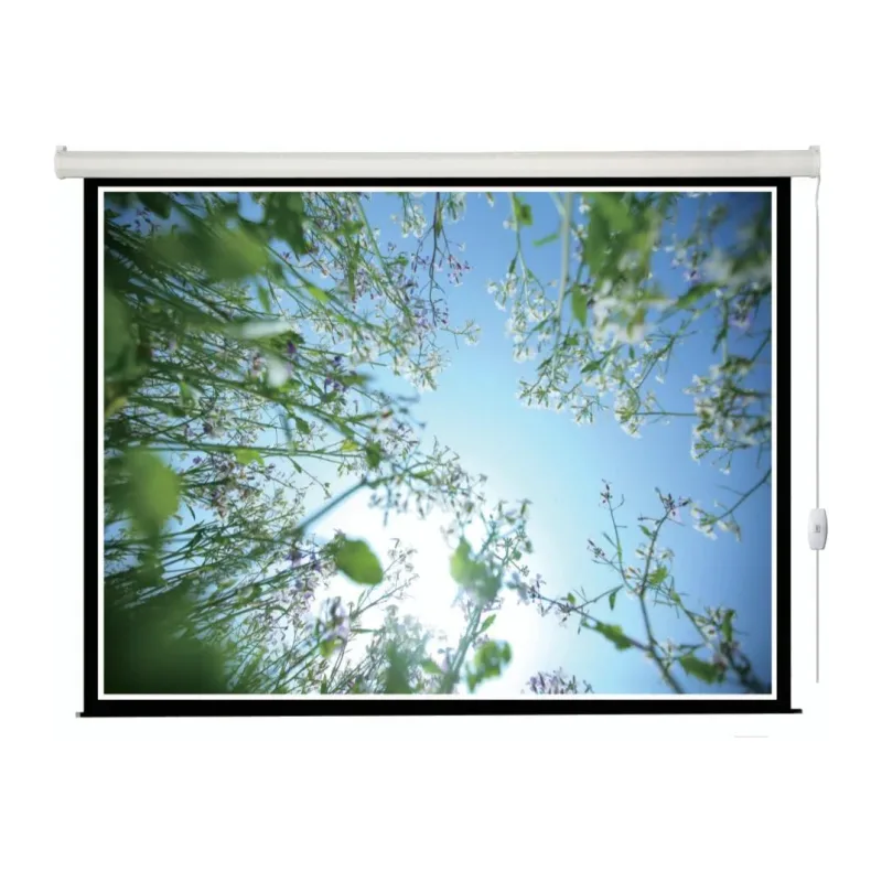 Проекционный экран Lumien Eco Control белый (LEC-100111)
