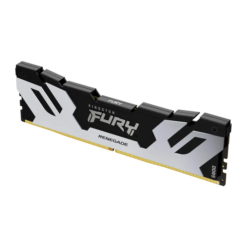 Оперативная память Kingston Fury Renegade Silver/Black 32GB DDR5 XMP (KF564C32RS-32)