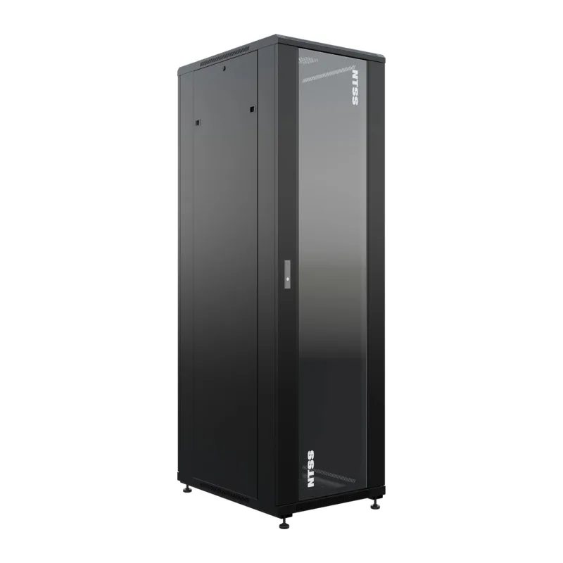 Шкаф серверный NTSS Премиум NTSS-R42U6080GS-BL черный