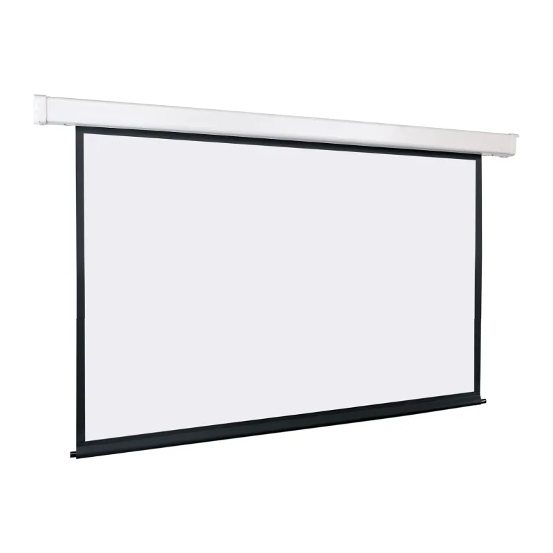 Проекционный экран Lumien Master Control белый (LMC-100216)