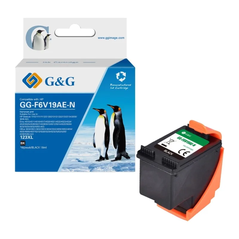 Картридж G&G 123XL черный (GG-F6V19AE-N)