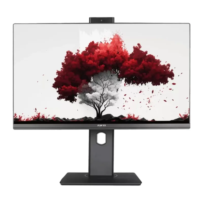 Монитор RDW Computers RDW2402K/F00B3 черный