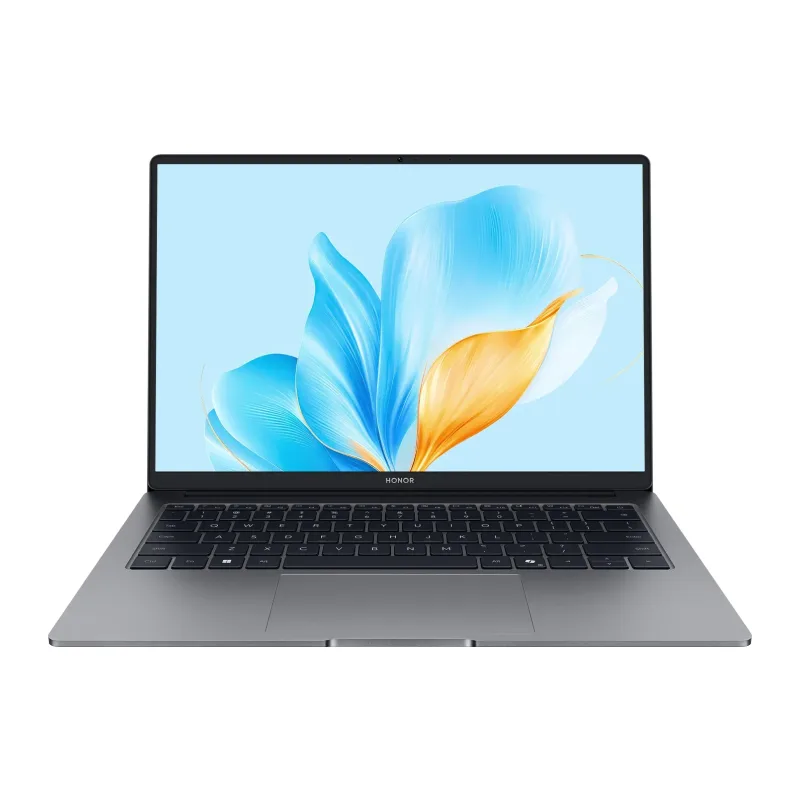Ноутбук Honor MagicBook X14 Plus 2025 FRB-X Space Gray (5301ALWC)