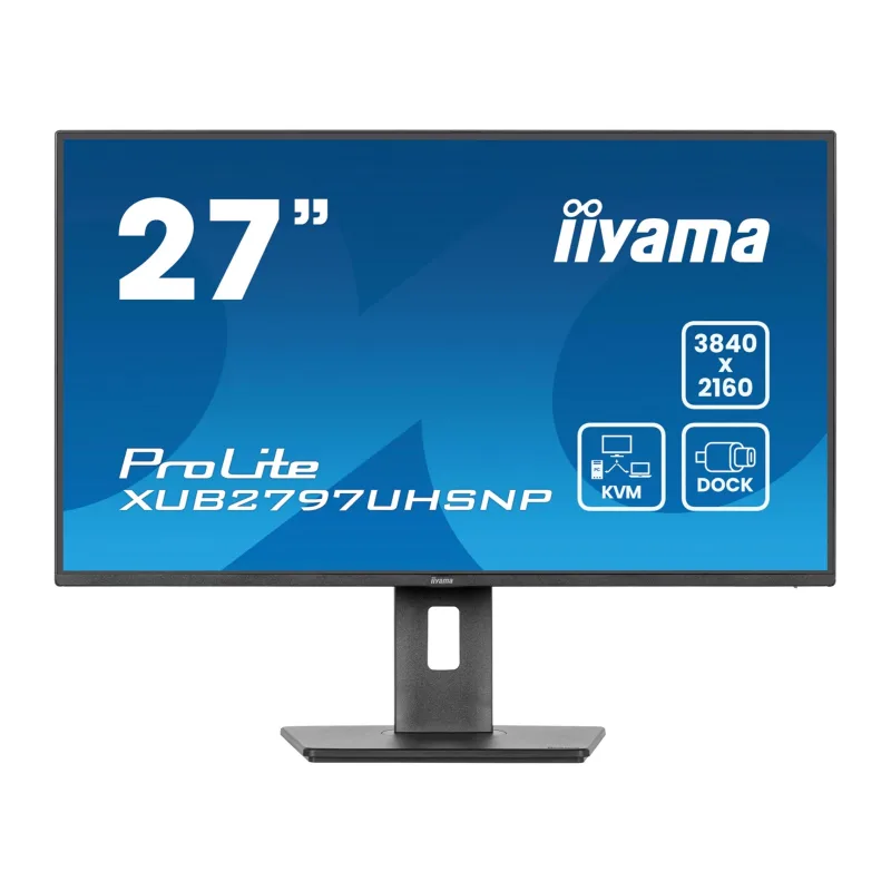 Монитор Iiyama ProLite XUB2797UHSNP-B1 черный