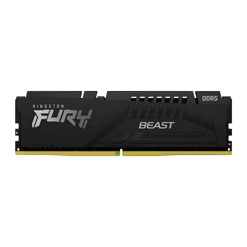 Оперативная память Kingston FURY Beast Black Expo 32GB DDR5 (KF552C40BB2-32)