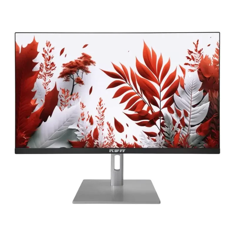 Монитор RDW Computers RDW2407K черный/серебристый (F14В3120V2A1B)