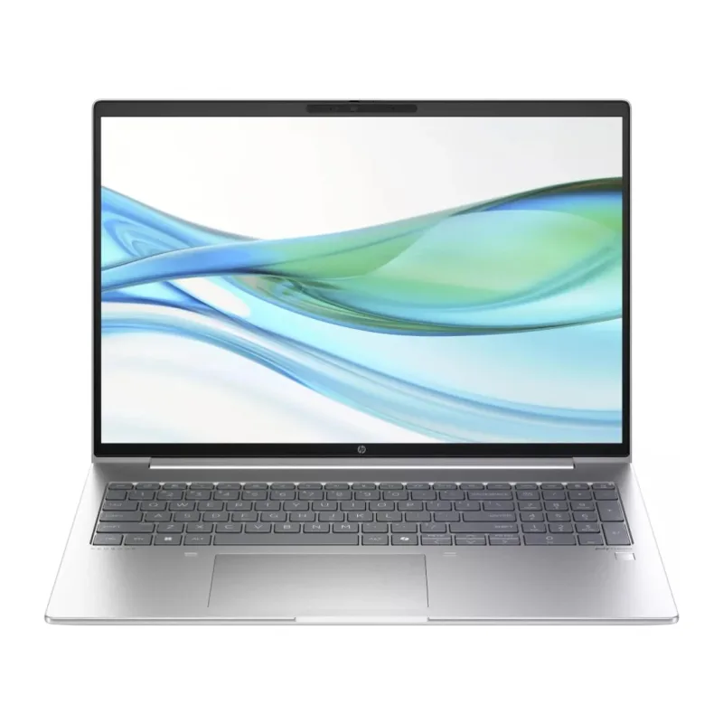Ноутбук HP ProBook 460 G11 Silver (D2FP5ET)