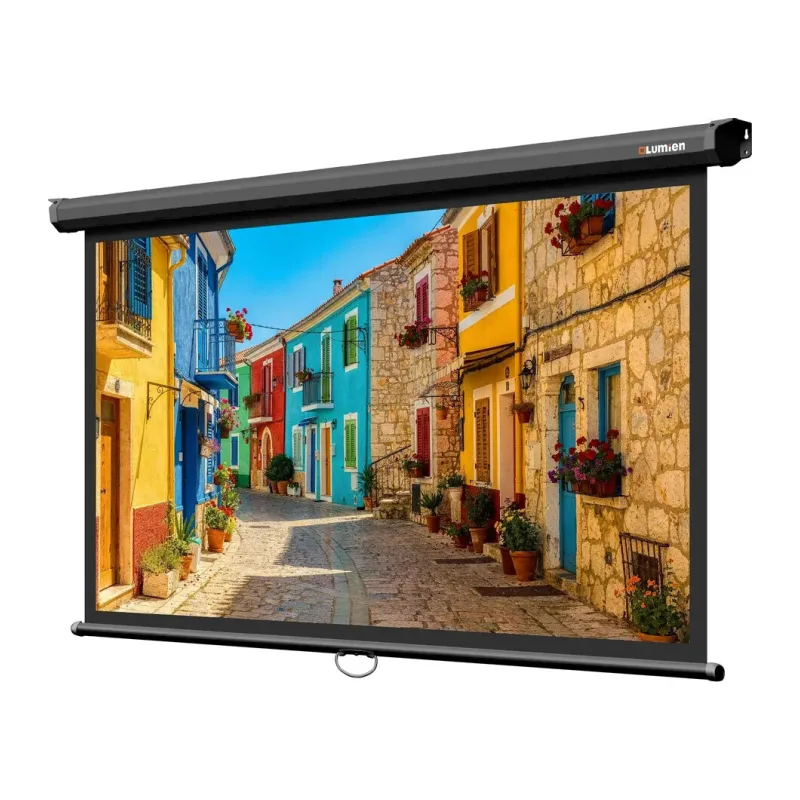 Проекционный экран Lumien Eco Picture черный (LEP-100129)