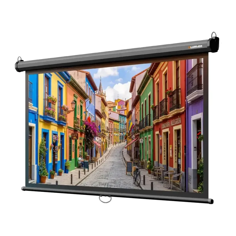Проекционный экран Lumien Eco Picture черный (LEP-100130)