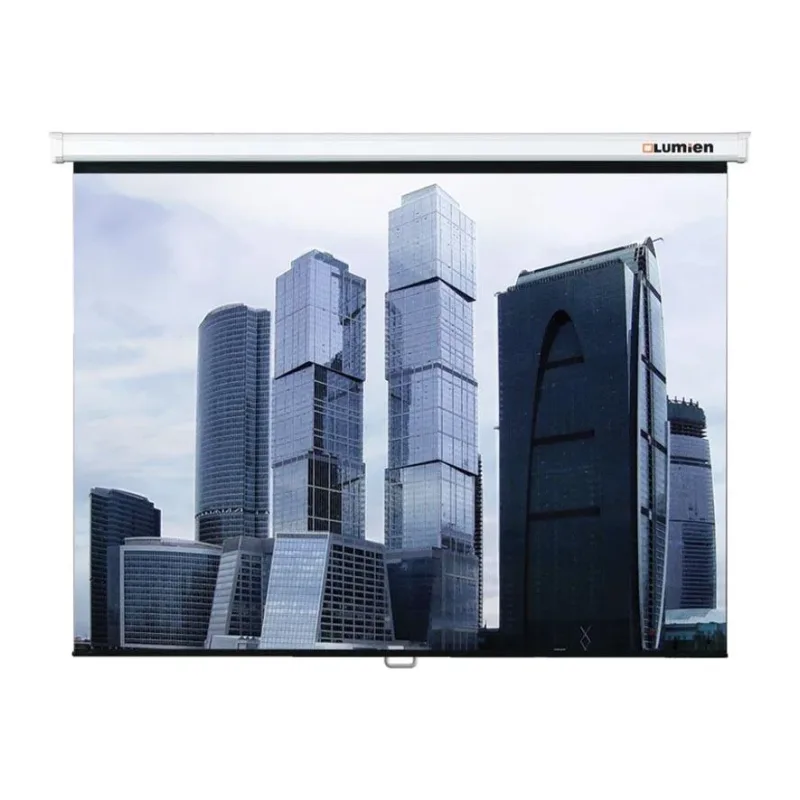 Проекционный экран Lumien Eco Picture (LEP-100109)
