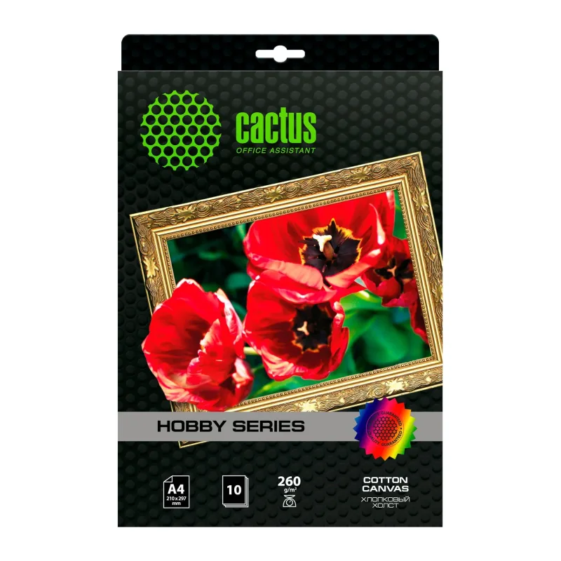 Холст Cactus CS-СA426010