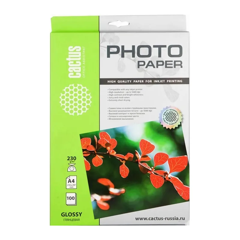 Фотобумага Cactus CS-GA4230100