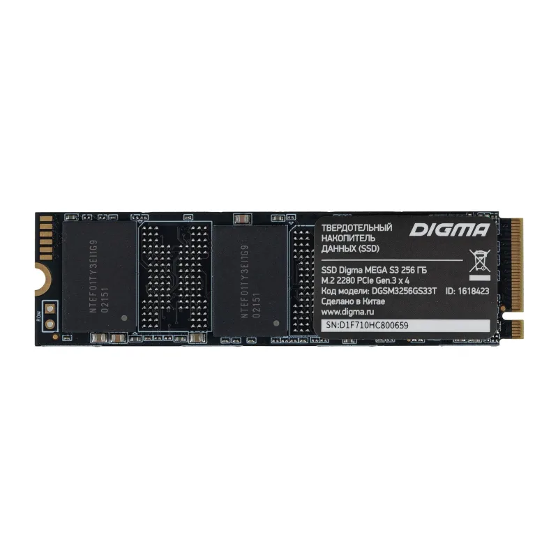 SSD диск Digma Mega S3 256GB (DGSM3256GS33T)