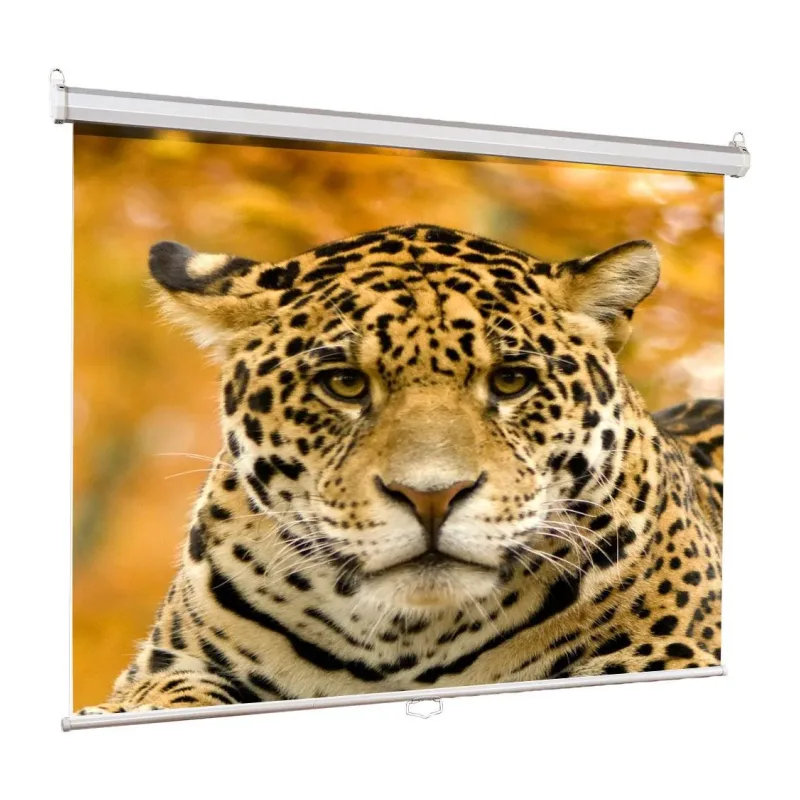 Проекционный экран Lumien Eco Picture (LEP-100101)