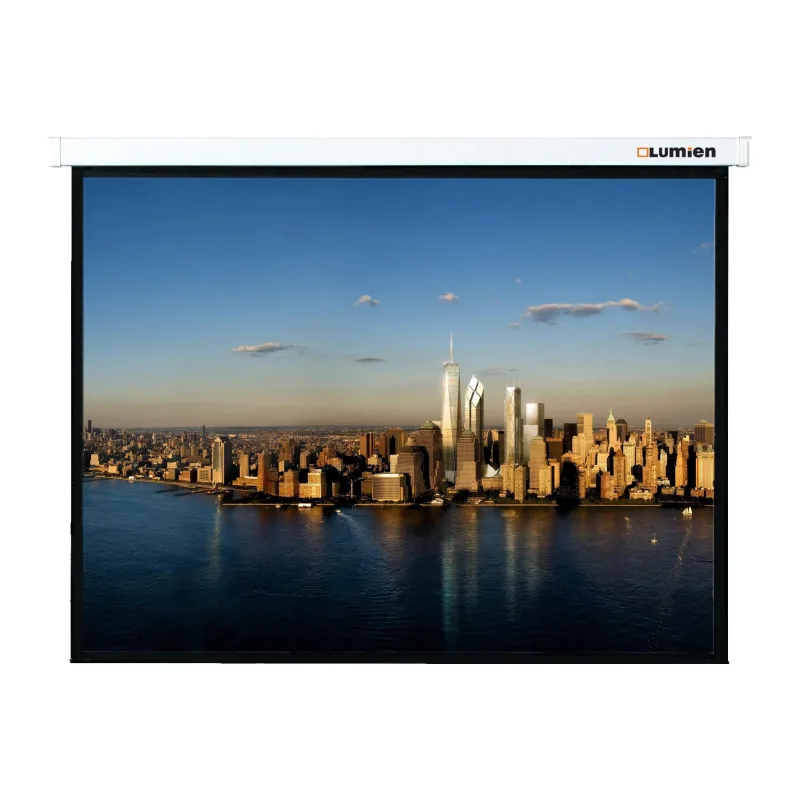Проекционный экран Lumien Master Picture (LMP-100110)