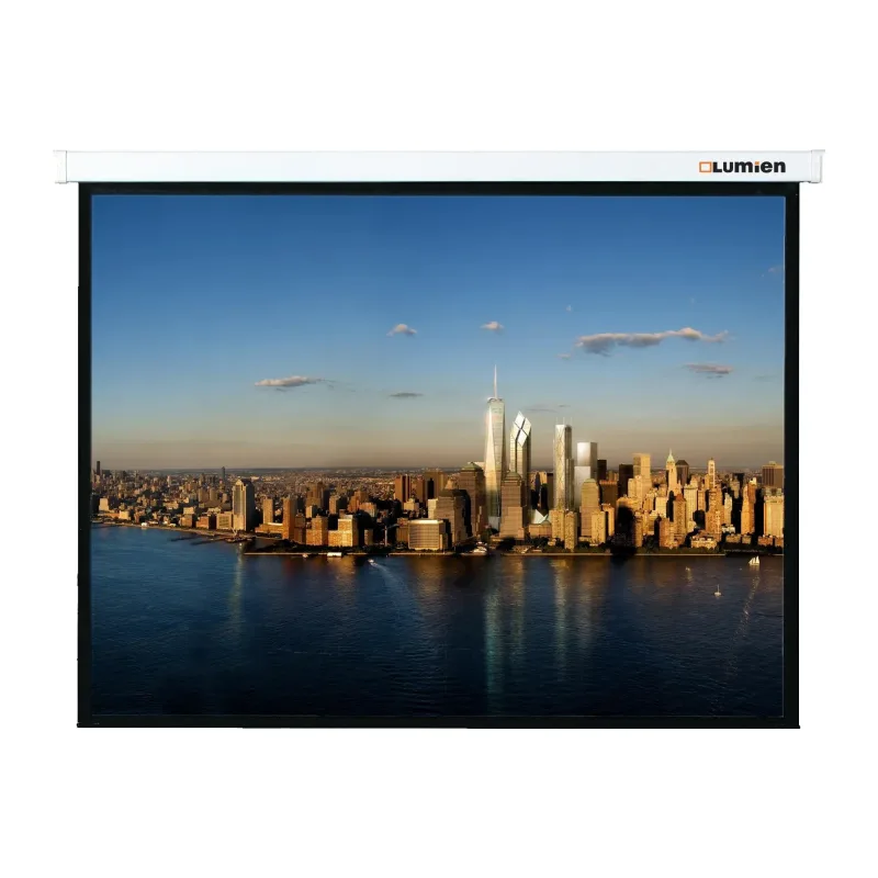 Проекционный экран Lumien Master Picture (LMP-100104)
