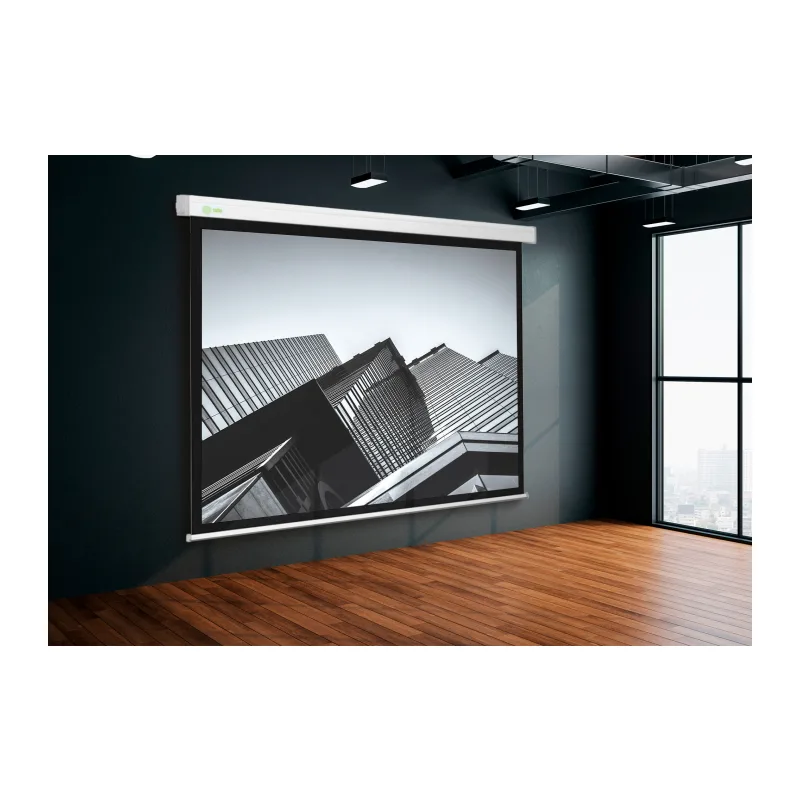 Проекционный экран Cactus CS-PSW-104x186