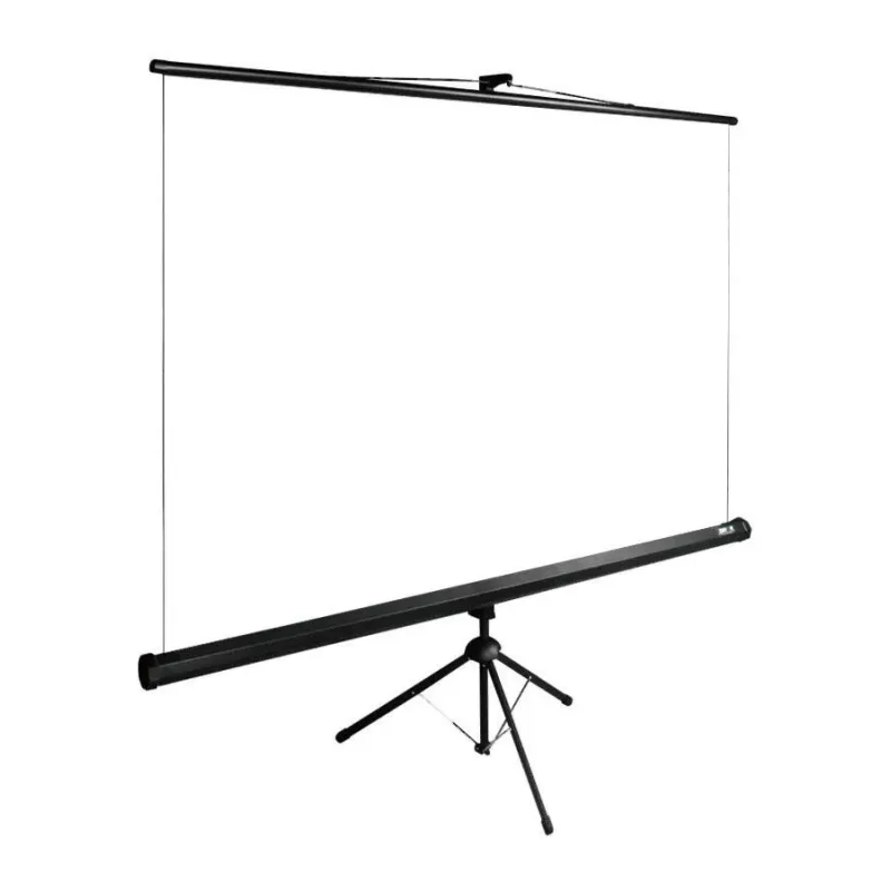 Проекционный экран Cactus CS-PSTE-160x160-BK
