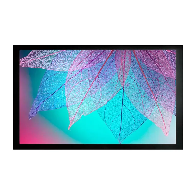Проекционный экран Cactus Frame Expert (CS-PSFRE-220X124)