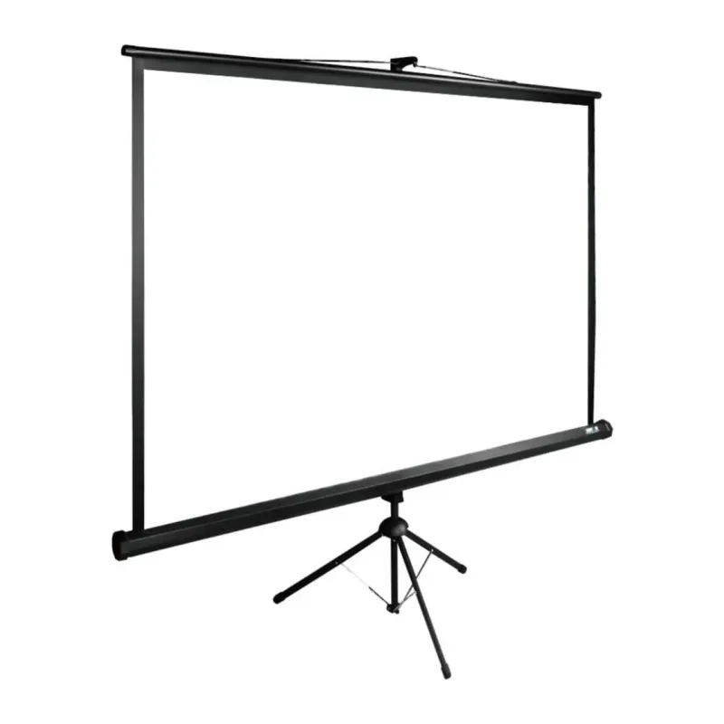 Проекционный экран Cactus TriExpert черный (CS-PSTE-220X220-BK)