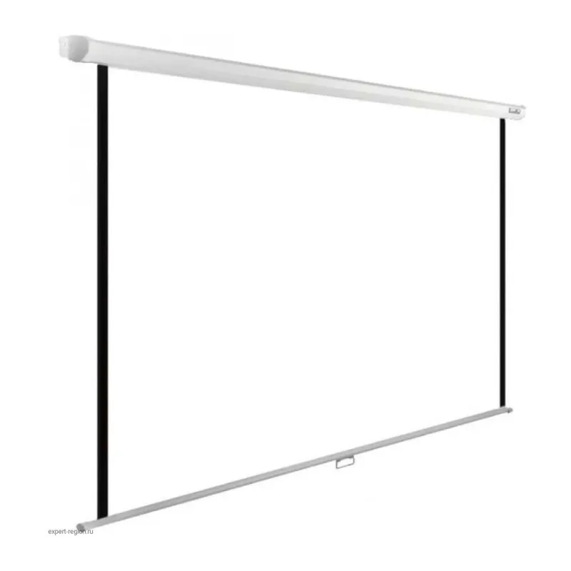 Проекционный экран Cactus WallExpert (CS-PSWE-220X138-WT)