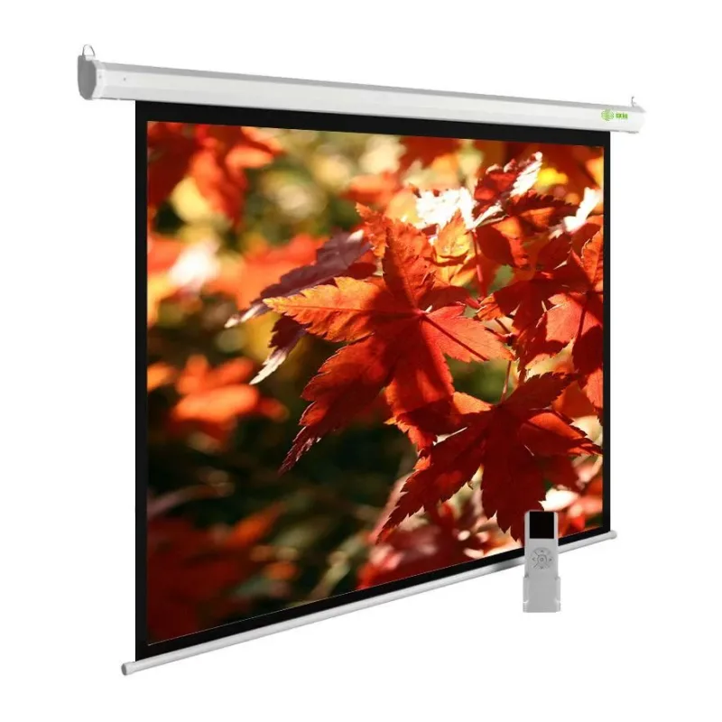 Проекционный экран Cactus SIlverMotoExpert (CS-PSSME-200X150-WT)