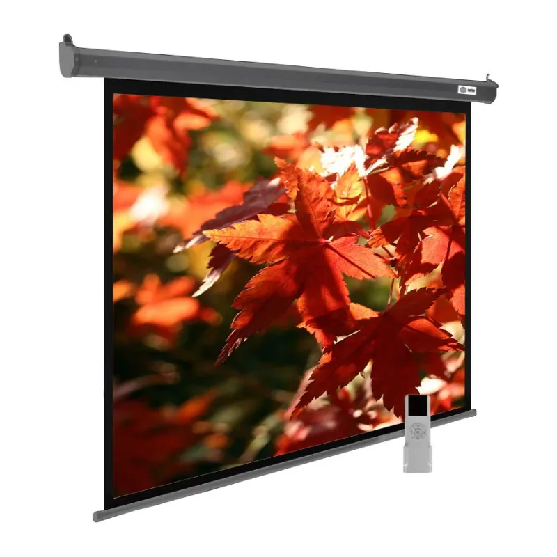 Проекционный экран Cactus CS-PSSME-200X150-DG