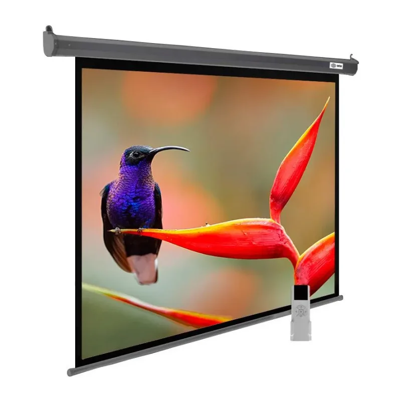 Проекционный экран Cactus CS-PSSME-220X138-DG
